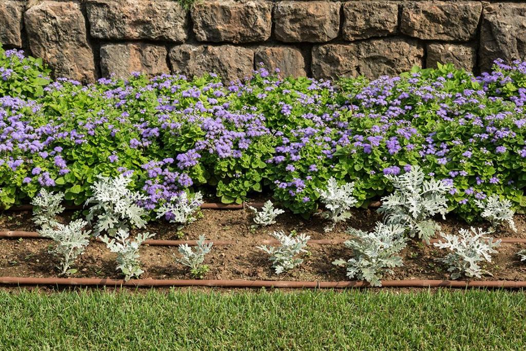 GARDEN INSTALL