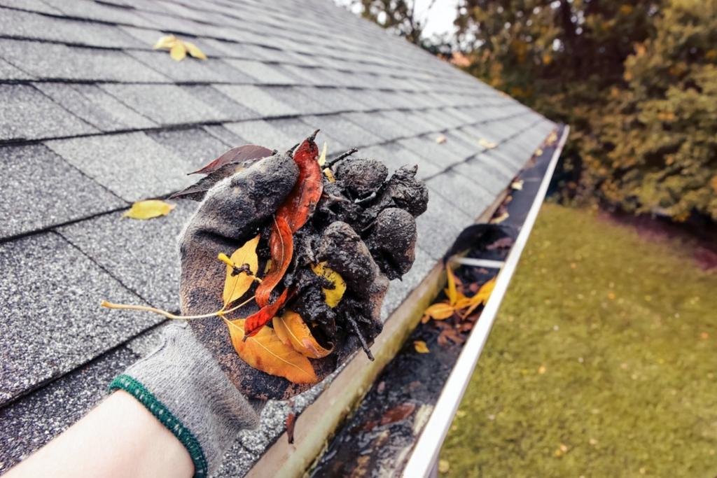 Gutter Cleaning