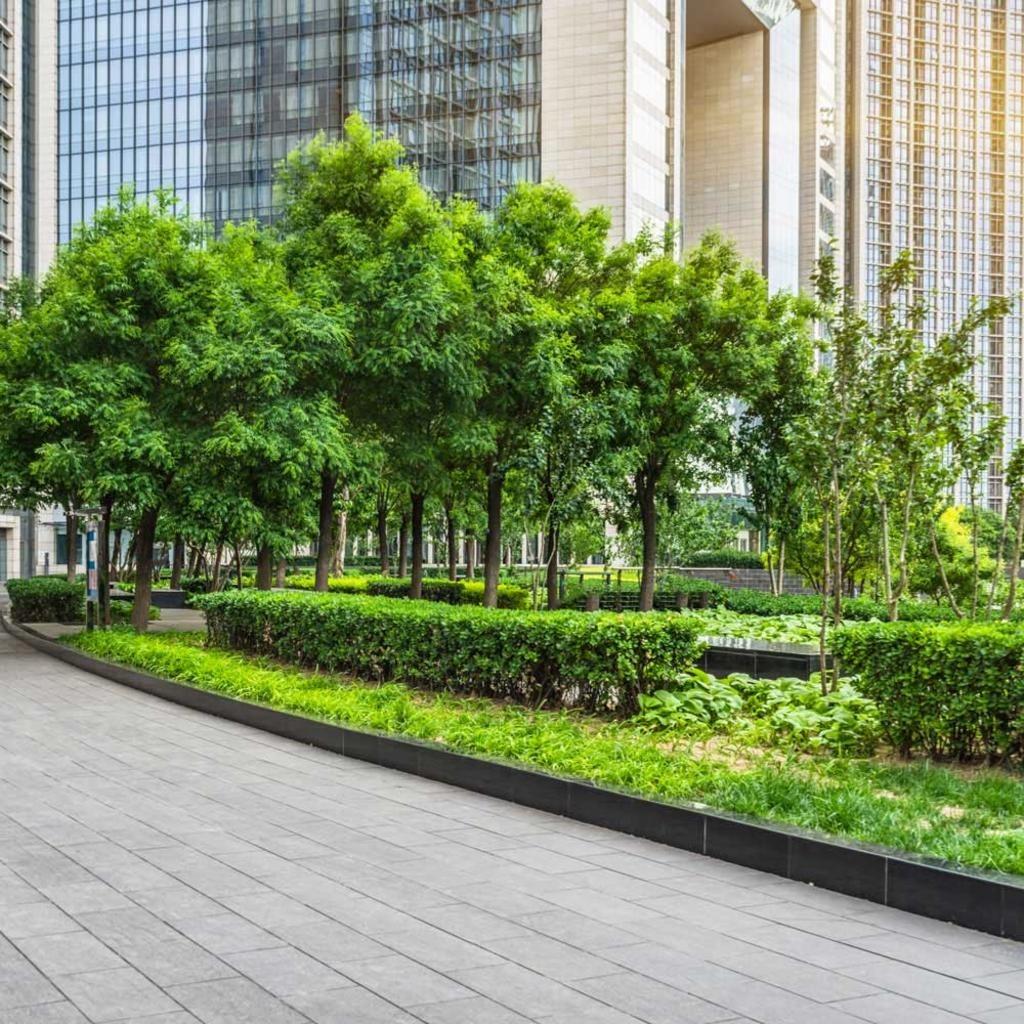 Commercial Grounds Maintenance