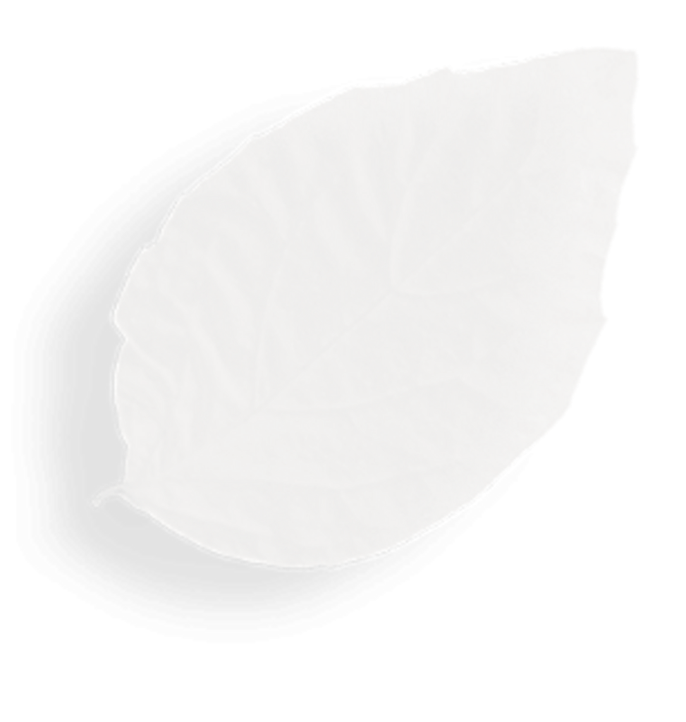 Green Thumb Lawn Maintenance!