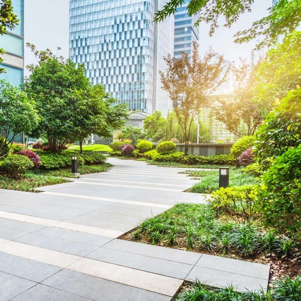 Commercial Landscaping