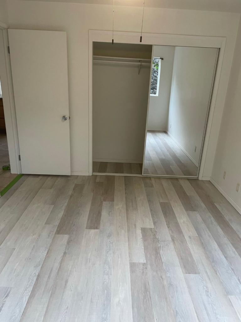Vinyl Plank/Laminate