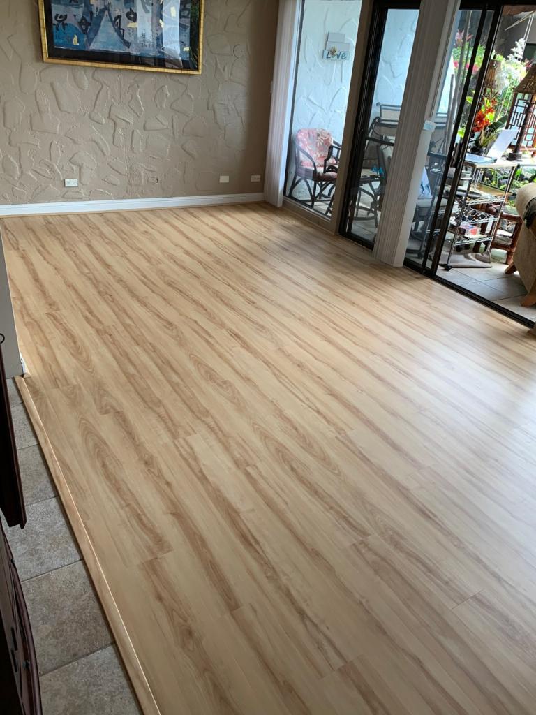 Vinyl Plank/Laminate