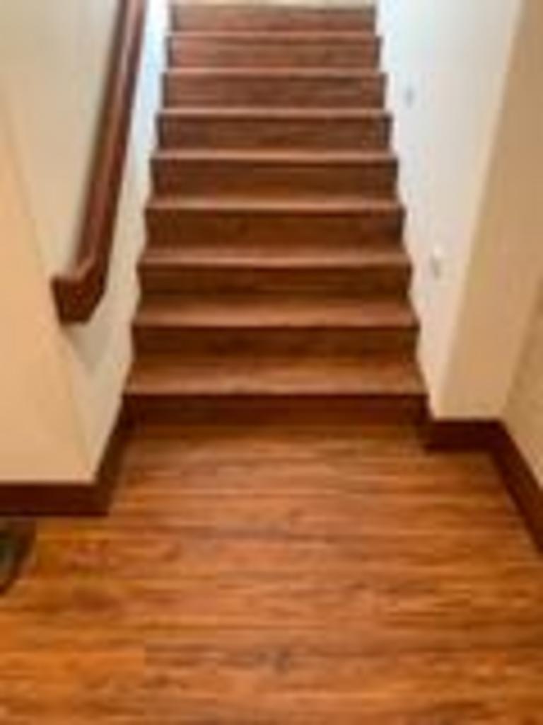 Vinyl Plank/Laminate