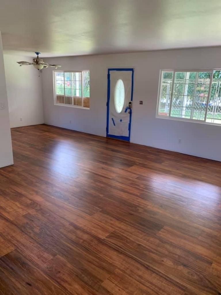 Vinyl Plank/Laminate