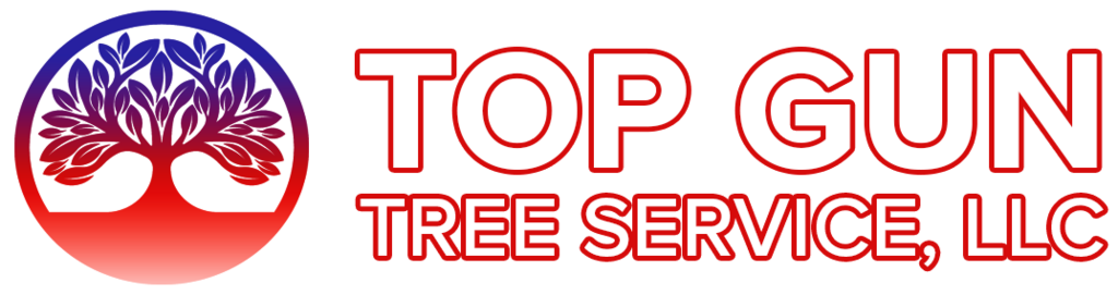 Top Gun Tree Service Llc Lexington County S Best Tree Removal Provider Tree Service In Swansea Sc