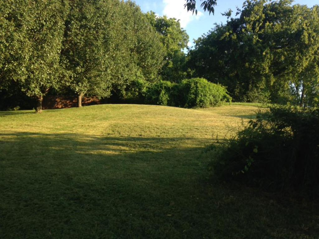 US Cleaning and Lawn LLC