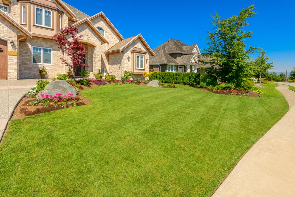 UNITED STATES CLEANING & LAW