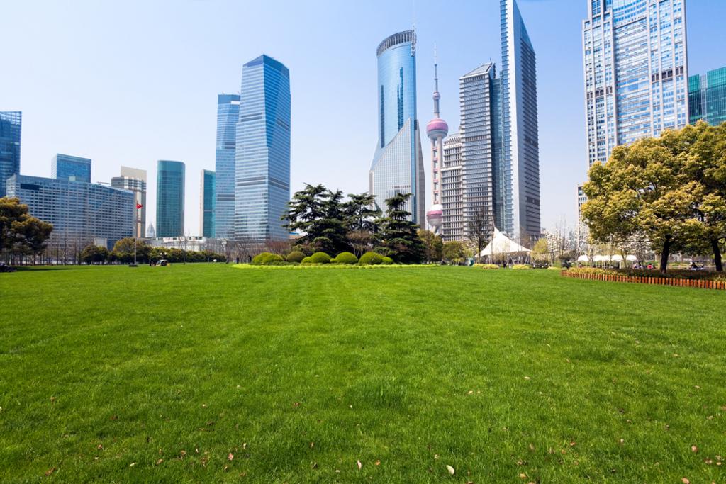 Commercial Lawn Maintenance