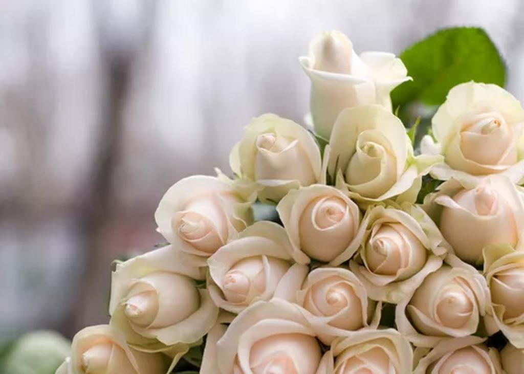 Bridal Beauty Company