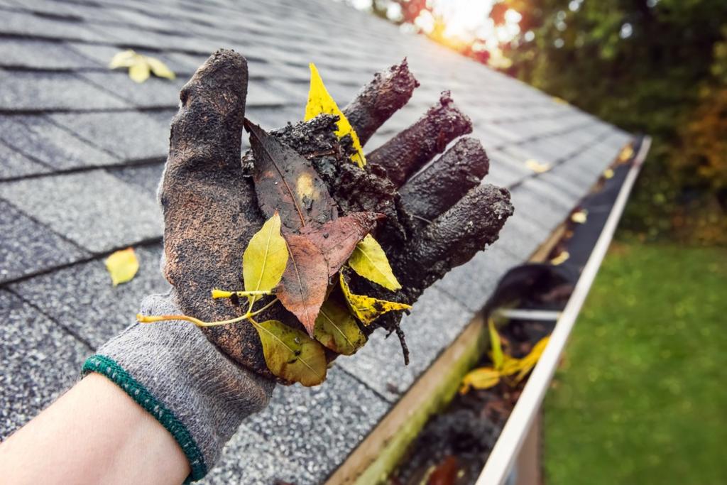 Gutter Cleaning Services