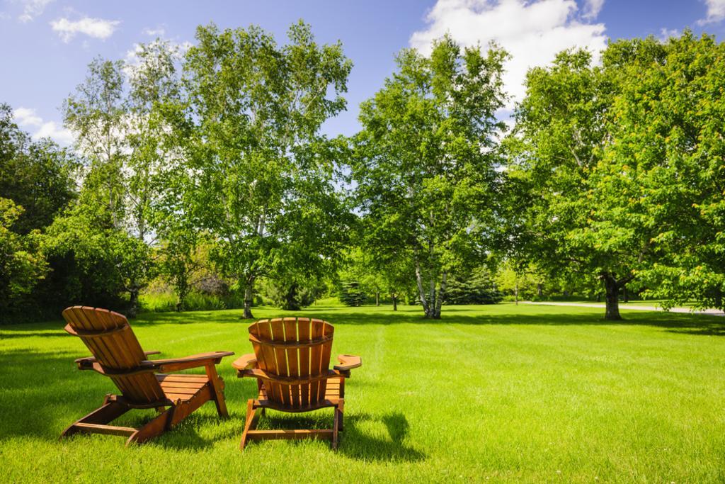 Holly Oak Arbor Care