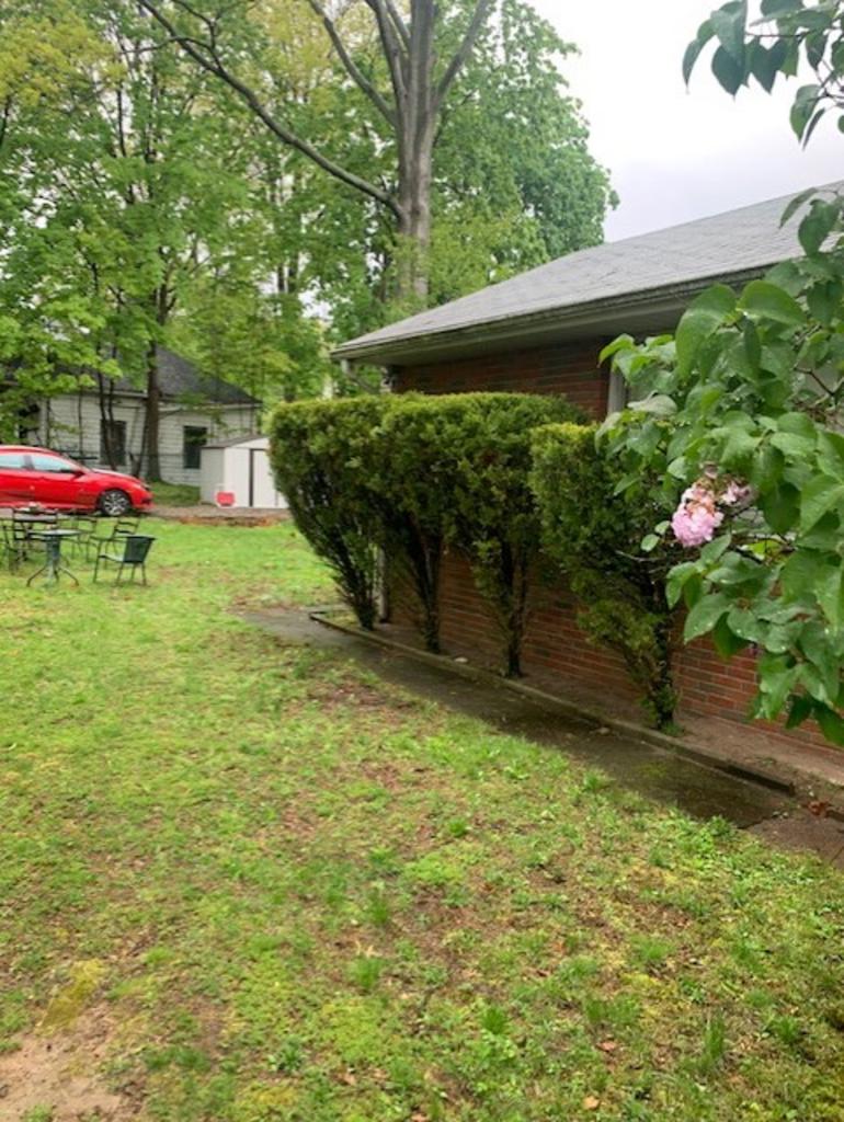 Blue Pine Snow & Landscaping