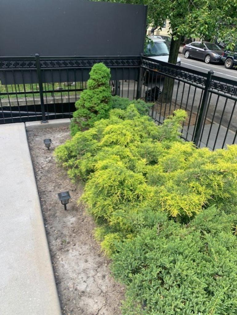 Blue Pine Snow & Landscaping