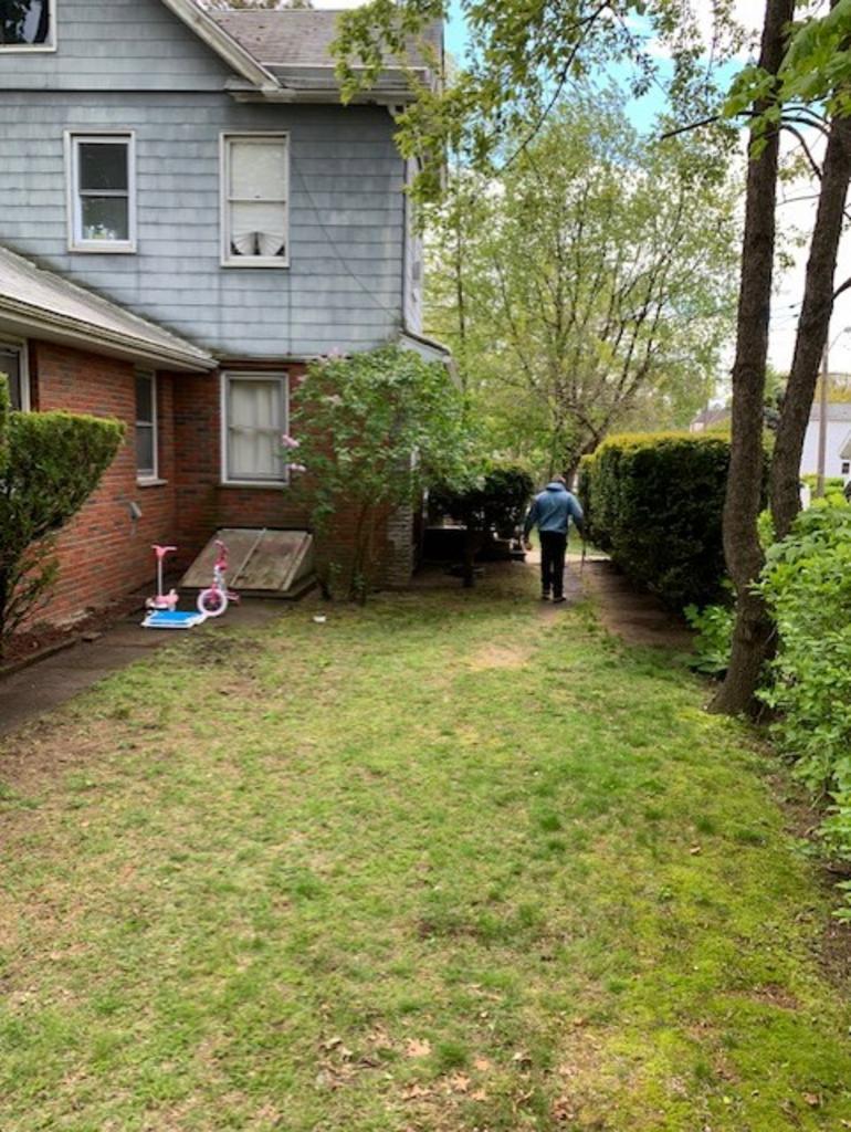 Blue Pine Snow & Landscaping