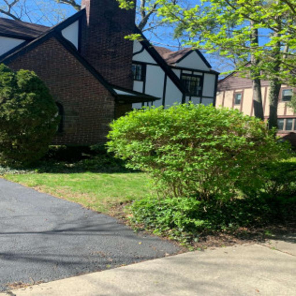 Blue Pine Snow & Landscaping