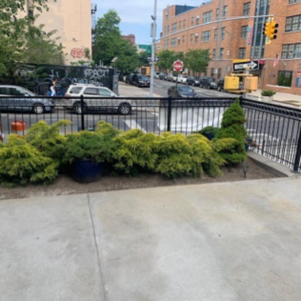 Blue Pine Snow & Landscaping