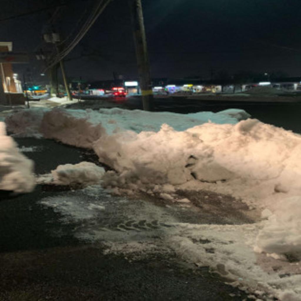 Blue Pine Snow & Landscaping