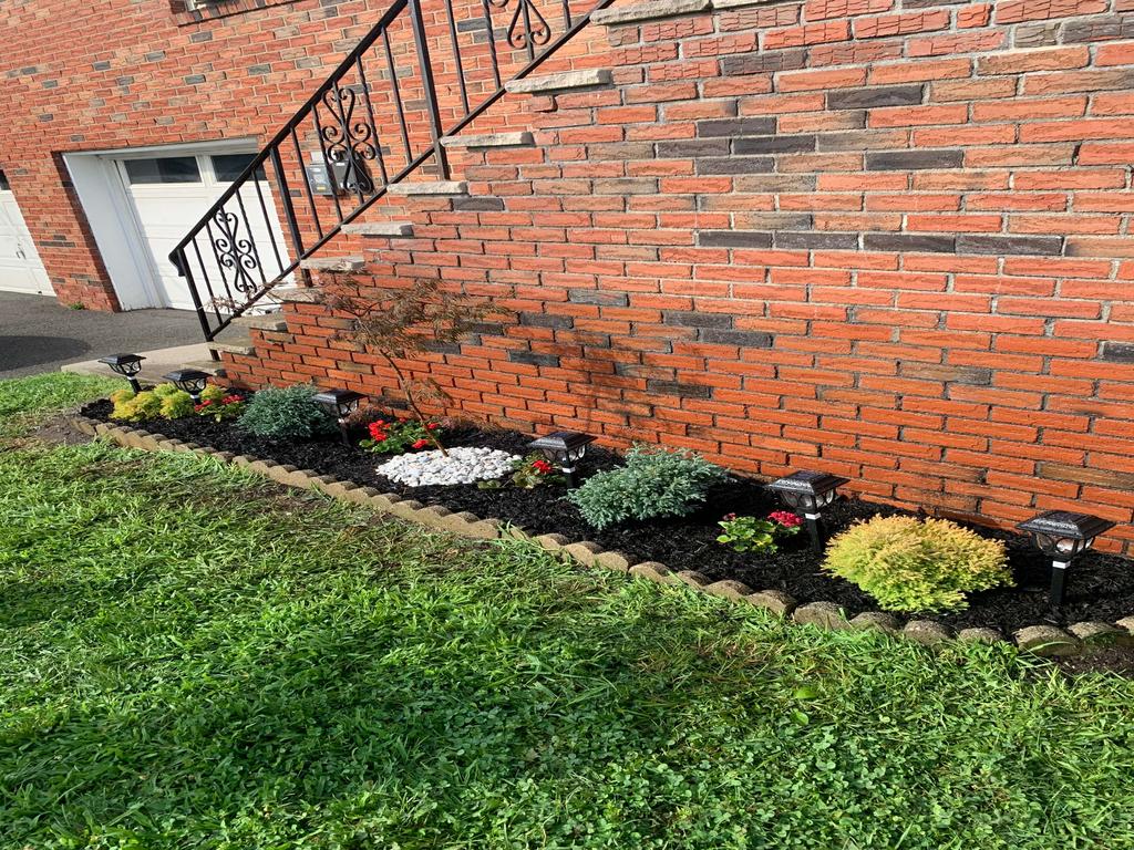 Blue Pine Snow & Landscaping