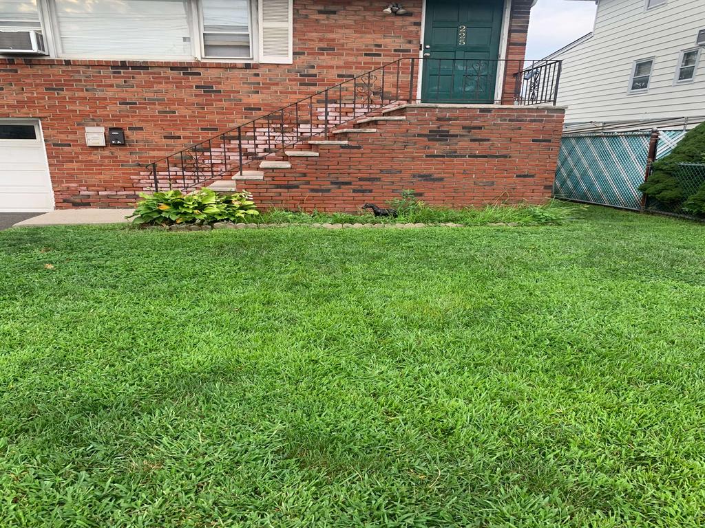 Blue Pine Snow & Landscaping