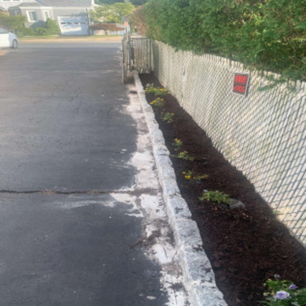 Blue Pine Snow & Landscaping