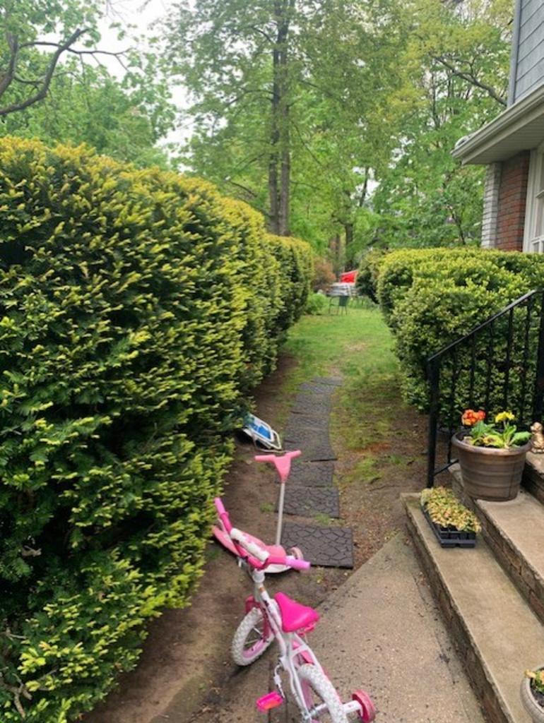 Blue Pine Snow & Landscaping