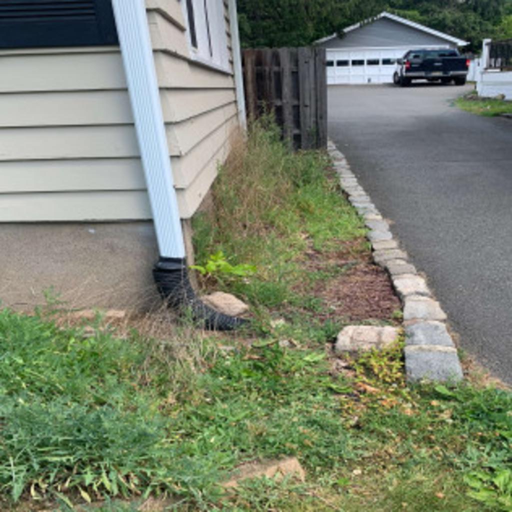 Blue Pine Snow & Landscaping