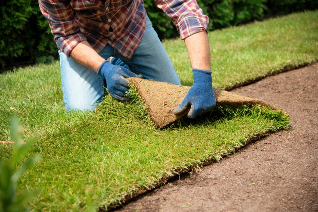 SOD INSTALLATION