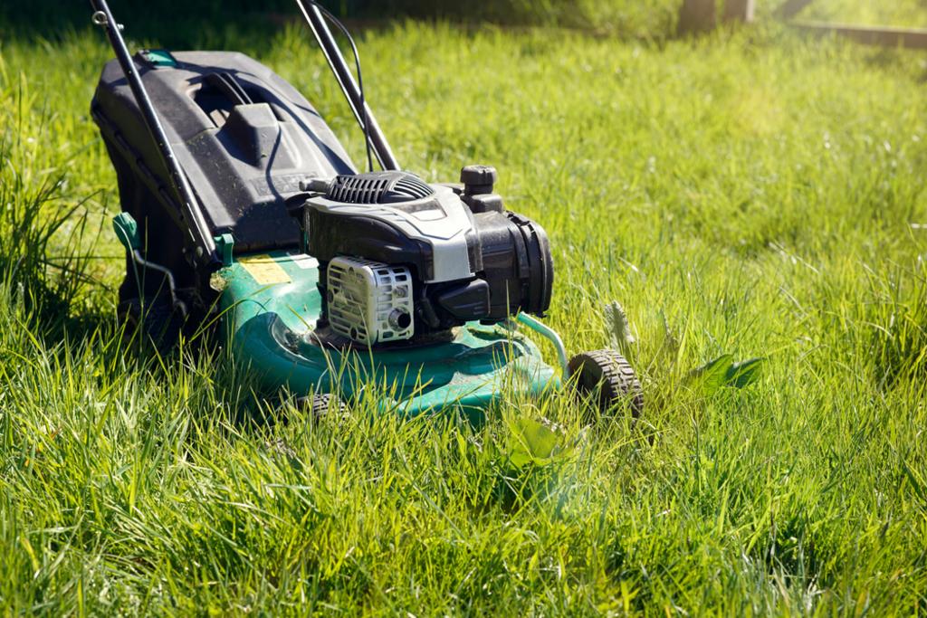 CUTTING GRASS