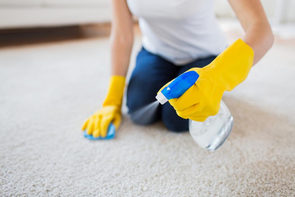 Alliance Carpet Services Carpet Cleaning Service in Aransas Pass, Texas