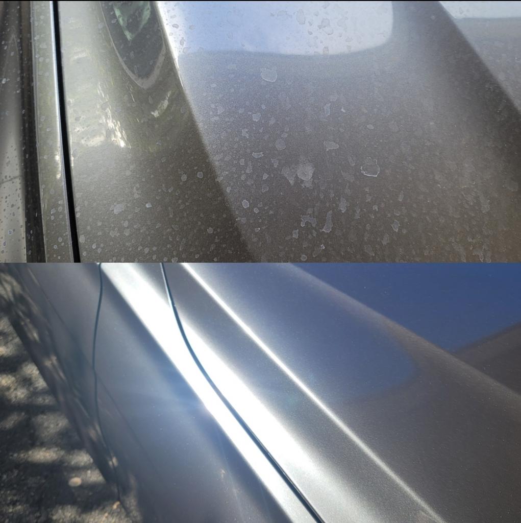 Minor Paint Restoration/Repair