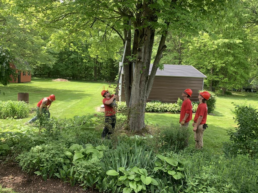 Penn Line Tree Service Penn West Tree Service, Inc | Tree Service in Sharpsville, PA