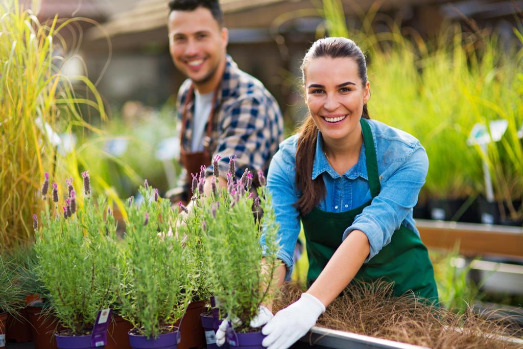 Aart Outdoors Landscape