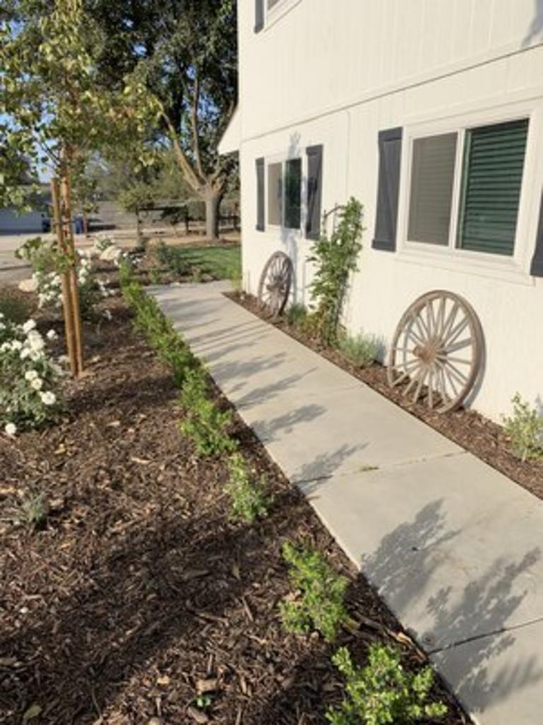 Rivetti Landscapes