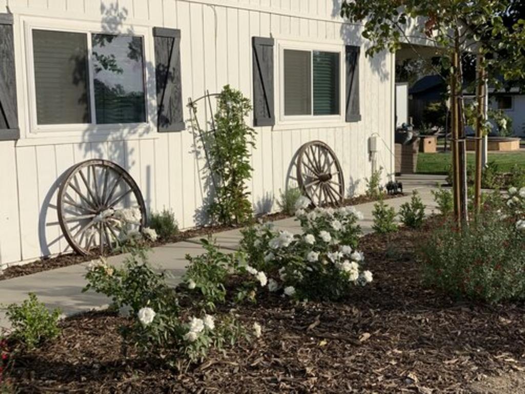 Rivetti Landscapes