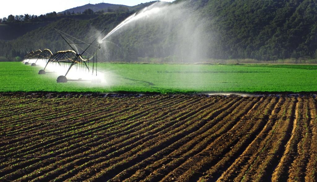 Irrigation Systems