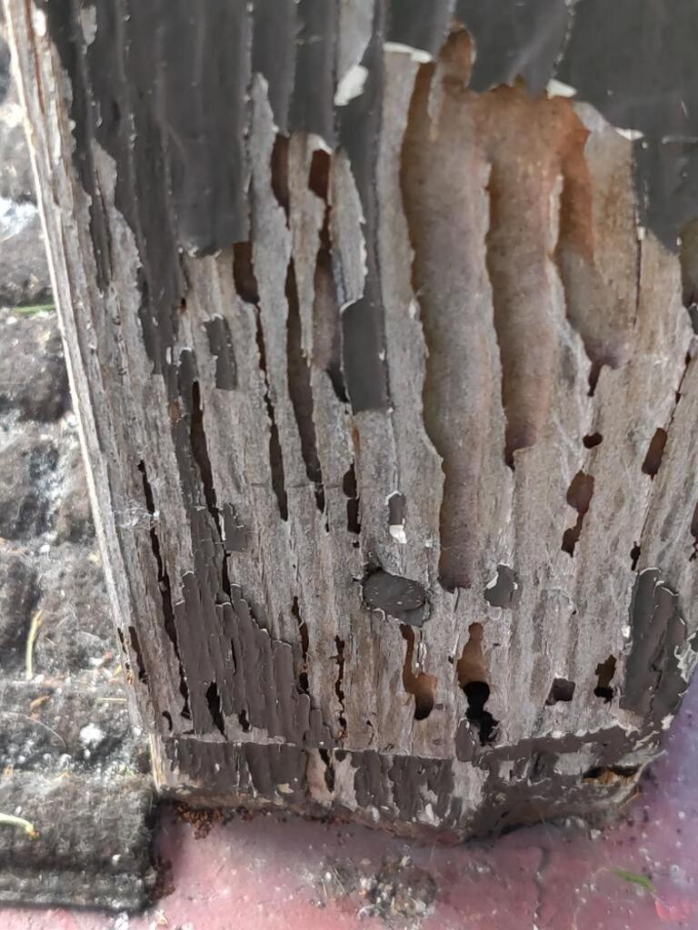 First Termite Solution Inc