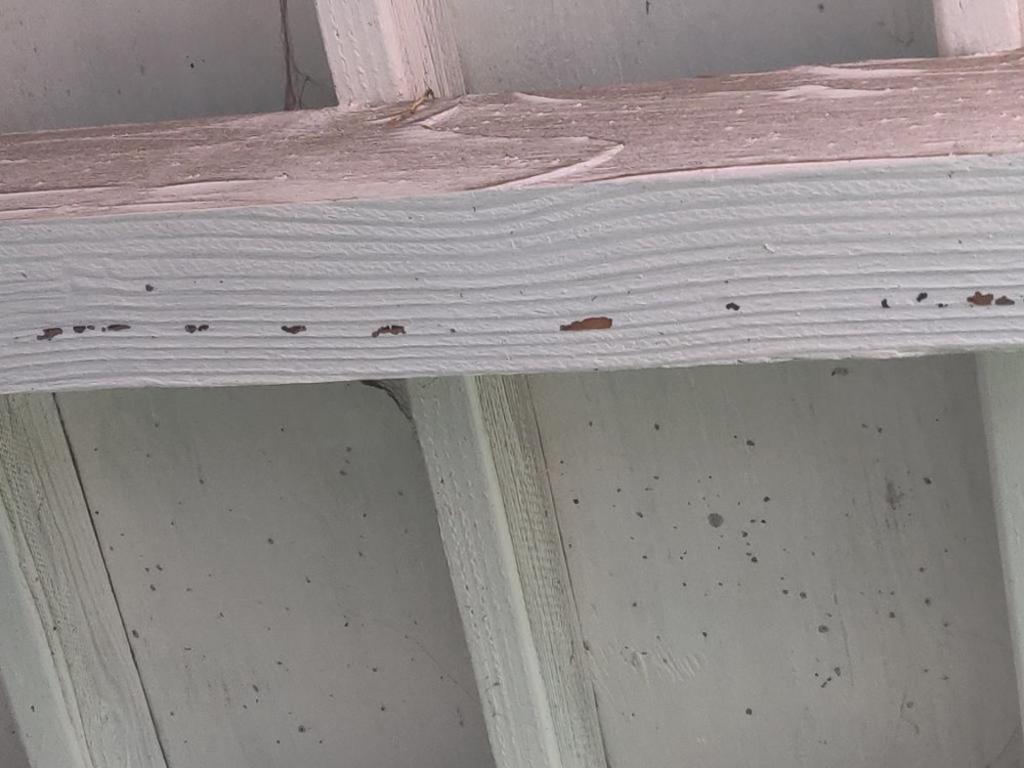 First Termite Solution Inc