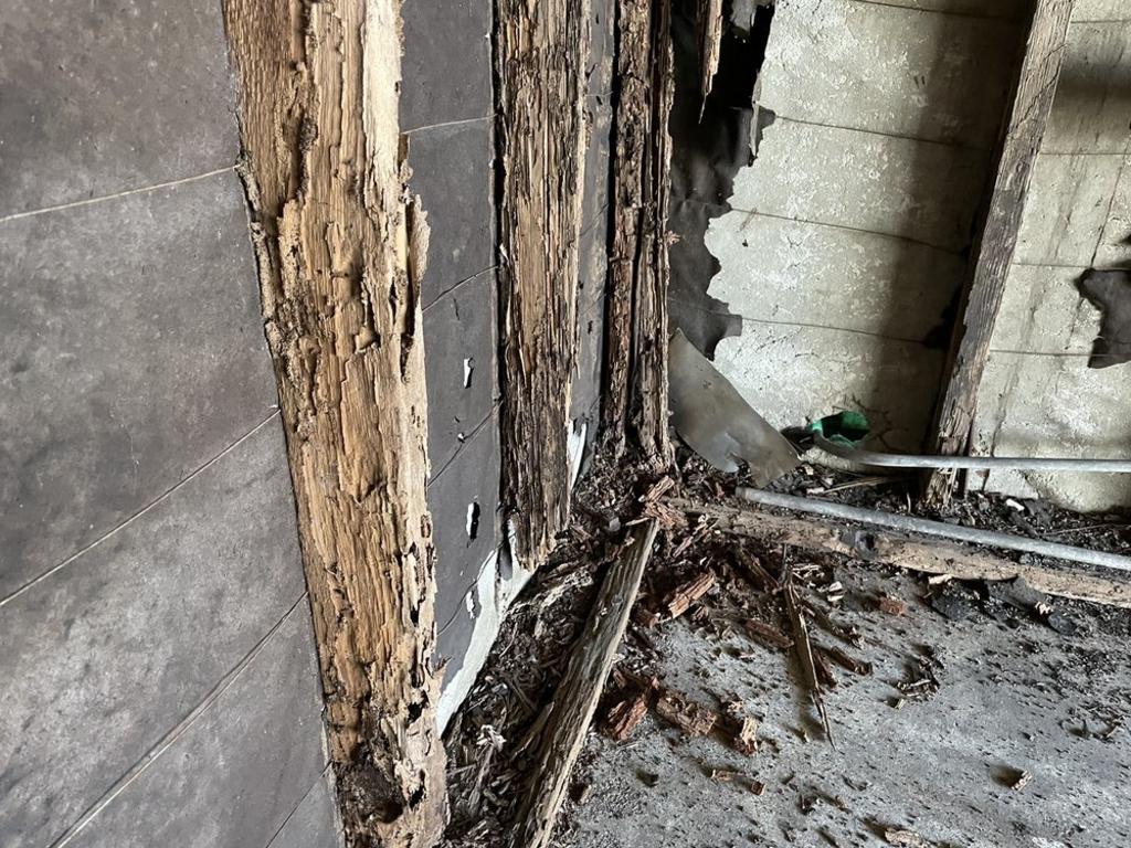 First Termite Solution Inc