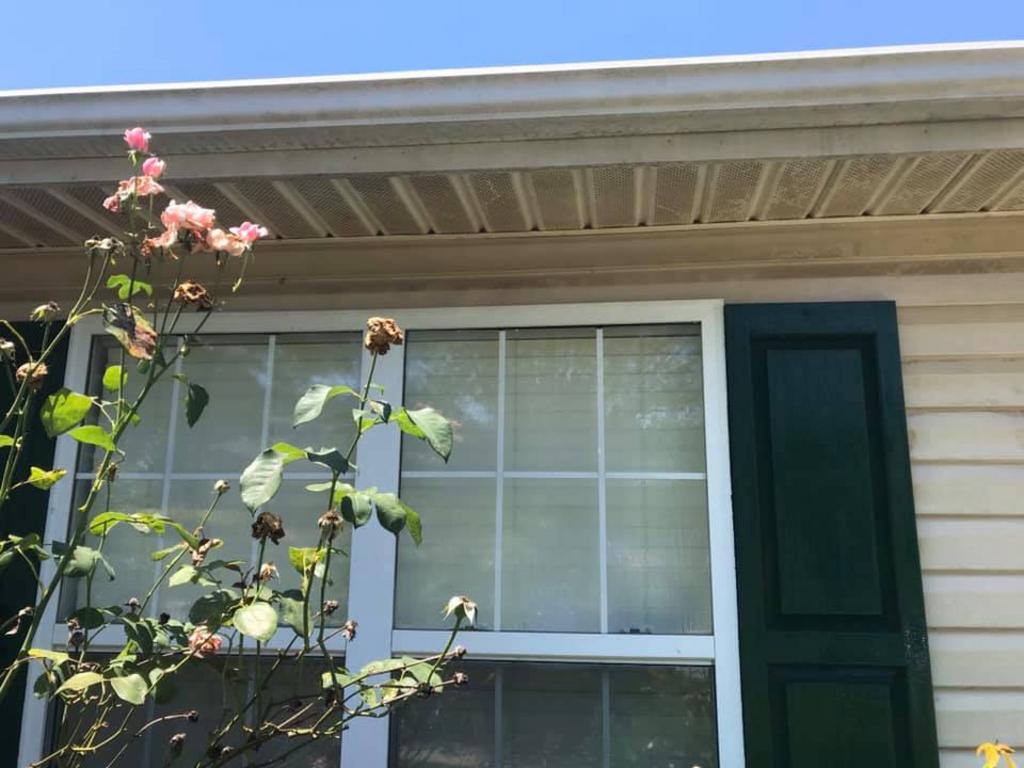 Young’s Pressure Washing Services LLC