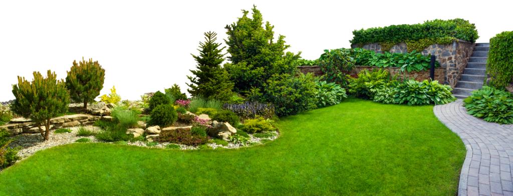 Venture Lawn Services