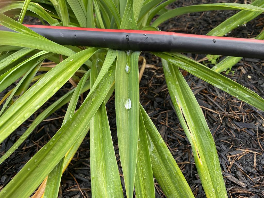 ET Irrigation Consulting Services