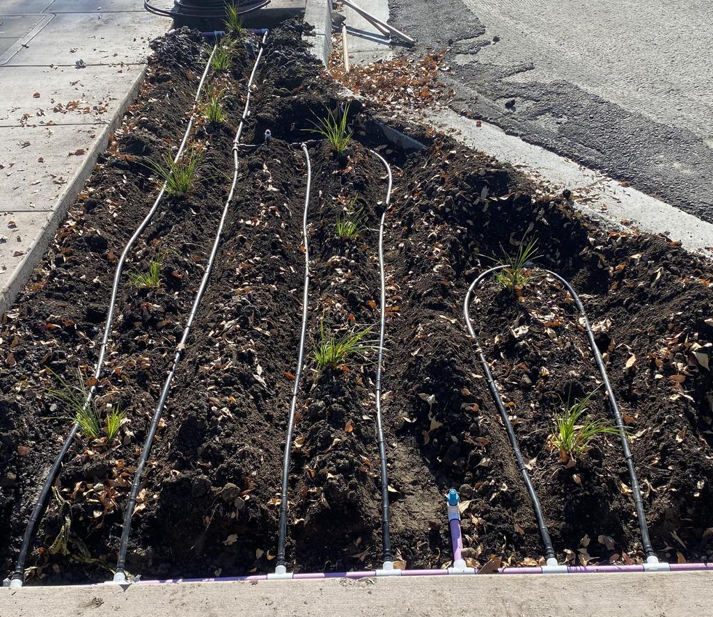 Site Specific Water Management Strategies & Water Budgeting