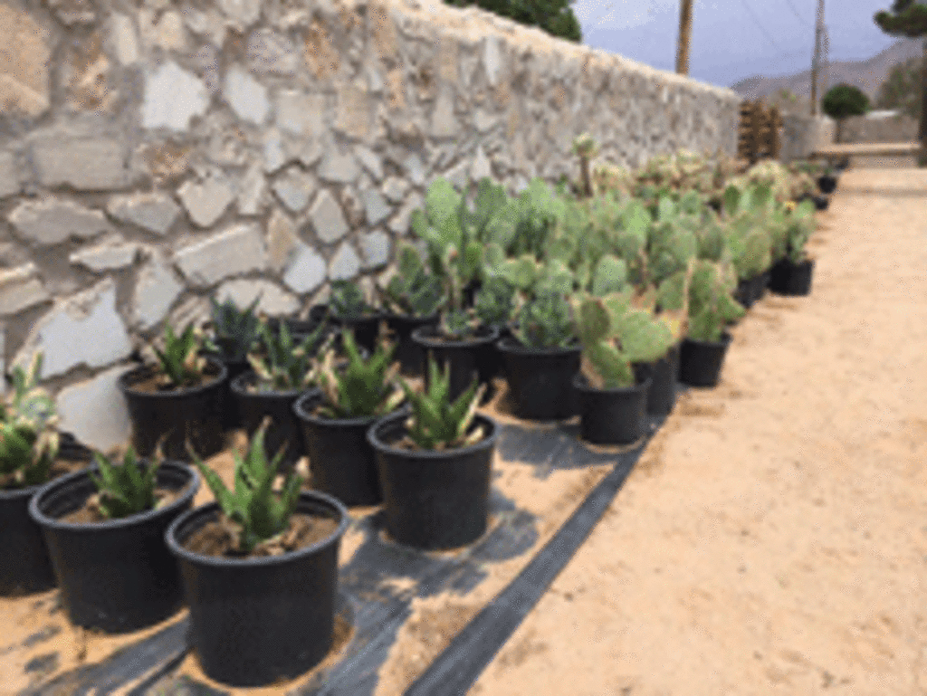 Gonzales Landscape and Irrigation