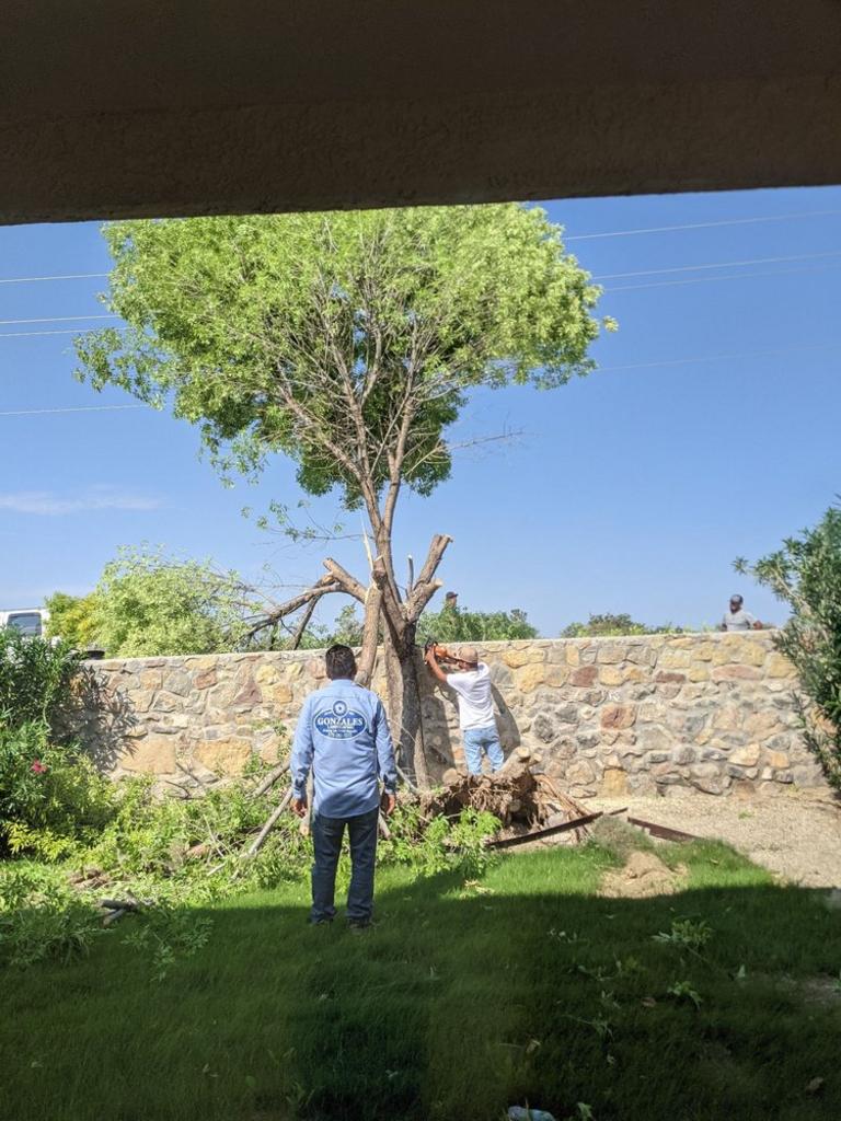 Gonzales Landscape and Irrigation