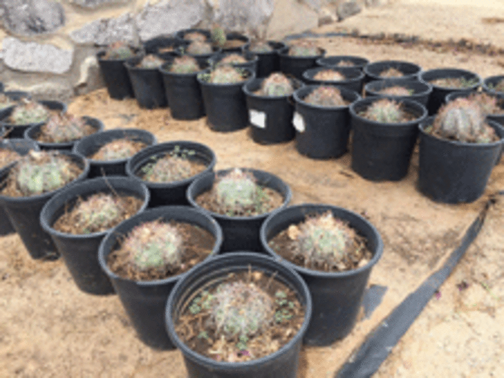 Gonzales Landscape and Irrigation