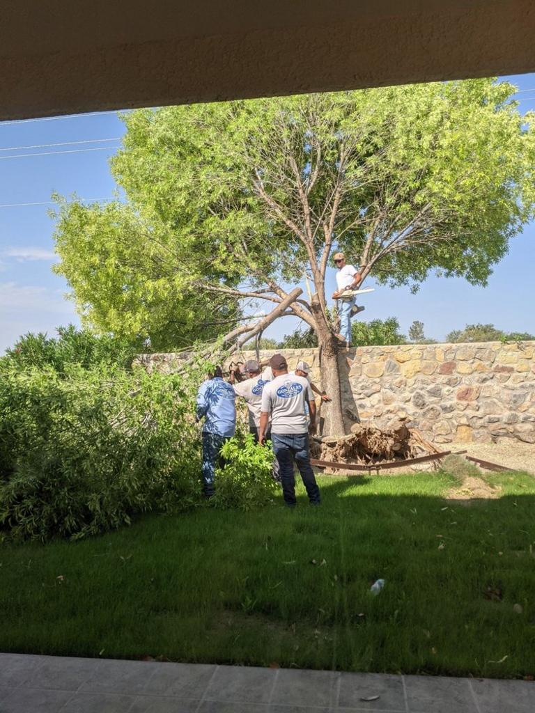 Gonzales Landscape and Irrigation