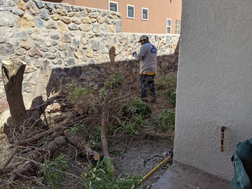 Gonzales Landscape and Irrigation