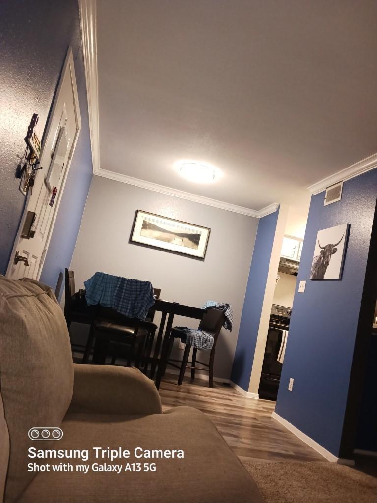 Roscoe's Front Door Refinishing & More LLC