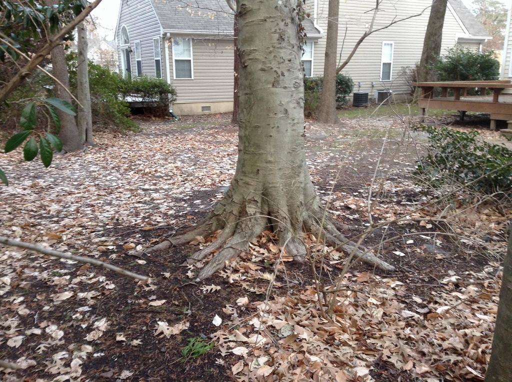  Kings Lawn Care Services Etc